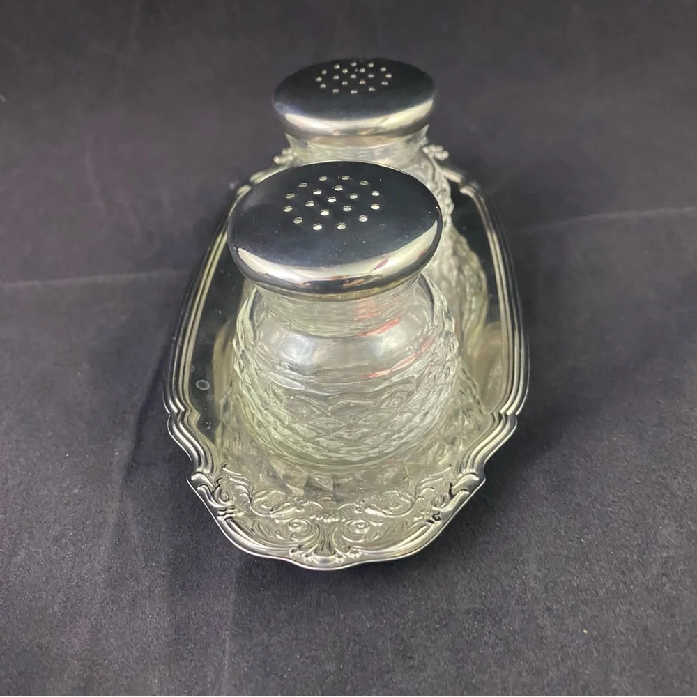 Elegant Silver Salt and Pepper Shaker Set